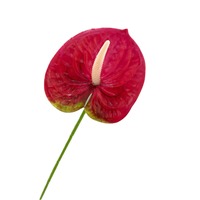 Fleurs artificielles en gros, branche unique réaliste faite à la main, Anthurium vert moderne au toucher réel, en vrac