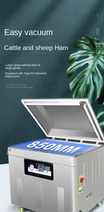 Machine sous vide verticale à chambre unique DZQ500/2E US pour produits en poudre avec fonctionnalité compatible sec et humide - Product Image 4