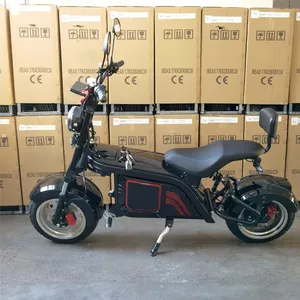 Emark EEC COC European Warehouse Uk Supplier Off Road Electric Scooters Citycoco Skyboard Br70