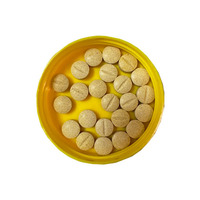 Comprimés multivitaminés et électrolytiques pour chiens et chats en gros - Suppléments nutritionnels pour la santé du pelage, disponibles en bouteilles (OEM/ODM)