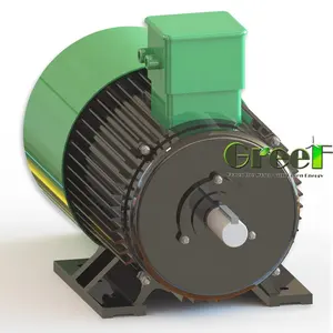 100kw 200kw 300kw Brushless 3 fasi AC grande potenza a bassa velocità a magnete permanente alternatore per vento/idro