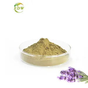 Extracto de lavanda de alta calidad Organic10:1 polvo de extracto de flor de lavanda