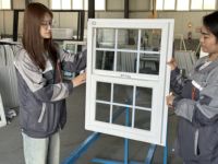 Fenêtre à guillotine simple de style américain en PVC/UPVC pour résidences