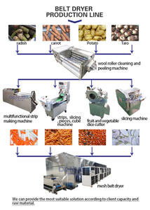 OEM food-<b>grade</b> mesh belt dryer grain coix seed processing production line coix seed drying equipment - Product Image 6