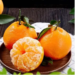 High Quality Famous Sweet And Juicy Sugar Water Oranges Organic Mandarin Large Juicy Mandarin