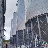 Silo in acciaio con fondo a tramoggia per alimentazione automatica e dosaggio, per piccole impianti di lavorazione cereali e allevamenti
