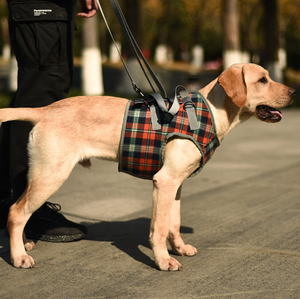 สายรัดพยุงสุนัขระบายอากาศปรับได้,สำหรับขาหน้าและขาหลังสัตว์เลี้ยงฟื้นฟูสมรรถภาพยกเสื้อกั๊กสลิงสุนัขชุด - Product Image 3