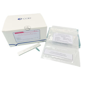 혁신적인 형광 면역 크로마토 그래피 안티 뮬러 호르몬 <span class=keywords><strong>AMH</strong></span> 고감도 검사 키트 - Product Image 4