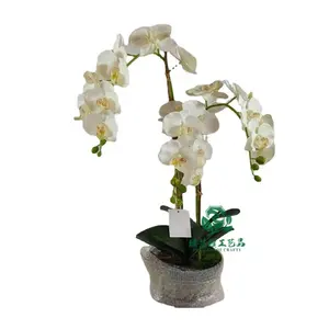 Zhen xin qi artigianato valore più venduto orchidee fiori artificiali tocco reale in vaso fiori di orchidea per la decorazione