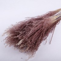 Fleurs séchées naturelles de queue de cheval, petite herbe de la pampa pour la décoration de mariage et de la maison, pour Noël, la Saint-Valentin, Pâques