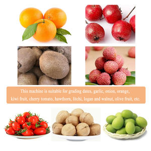 Clasificador de frutas, clasificador de dátiles, máquina clasificadora de kiwi, tomate Roma, clasificador automático comercial de cerezas - Product Image 6