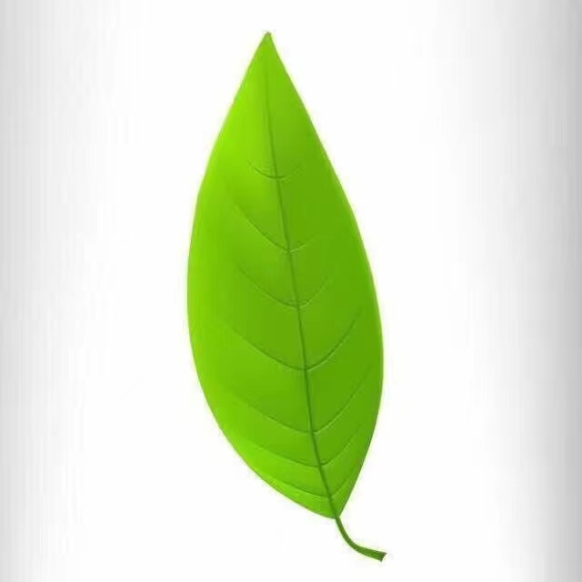 Dongying Miguo Decoration Materials Co., Ltd. logo