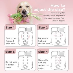 Culotte/culotte-culotte pour chienne en polyester écologique lavable – Sous-vêtements pour chien - Product Image 6