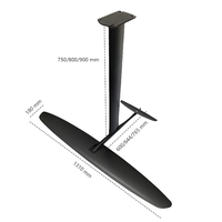 Planche à foil unisexe pour débutants (lacs, rivières, océans) avec pompe, modèle 1310 Hydrofoil en fibre de carbone AL 2100cm²+, pompe 83, planche légère