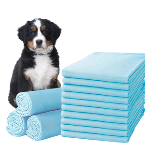 100 Stück Hundetrainingsmatte Urin-Windelpads 250 Stück Pinkelpads für Hunde Haustiertraining - Product Image 1