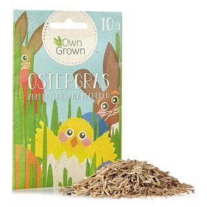 Đẹp 10g cao cấp Nhà Máy Gốm Hạt giống phục sinh Hạt Giống Cỏ cho cửa sổ ban công owngerwn catnip vườn Nguồn cung cấp - Product Image 5