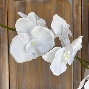 Fleurs d'orchidées 9 têtes, <span class=keywords><strong>orchidée</strong></span> papillon en soie Phalaenopsis pour la décoration de la <span class=keywords><strong>maison</strong></span>, de mariage et de fête, élégante composition florale artificielle - Product Image 6