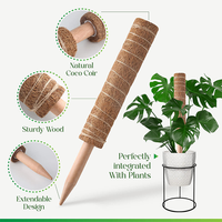 Support de grimpement pliable écologique en mousse pour plantes Monstera, palmiers coco d'intérieur, longueur personnalisable
