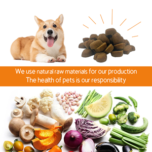 Probióticos Naturais Premium de Salmão para Animais de Estimação em Formato Mastigável para Cães e Gatos - Saúde Digestiva e Intestinal - Product Image 4