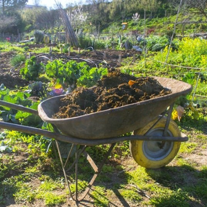 Fermented Cow Dung Organic Fertilizer with Humic Acid Improve <strong>Soil</strong> <strong>Structure</strong> Loose Hardened <strong>Soil</strong> for Farmland Agriculture Crops - Product Image 3