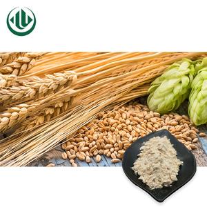 Fabbrica diretta di buona qualità 100% naturale istantaneo orzo in polvere marrone giallo estratto vegetale estratto - Product Image 1