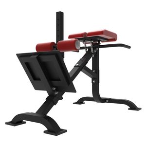 P0901 כושר 45 ספסל Hyperextension/רומי כיסא/בטן ספסל - Product Image 1