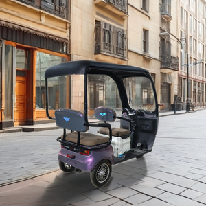 Tricycle à 3 roues QSD Factory Scooter, auto-rickshaw, tricycle pour passagers, tricycle en acier - Product Image 3