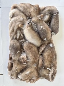 Obtener Precio Ahora: Pulpo Congelado, Calamar, Pulpo - Product Image 6