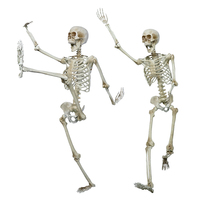 Vente en gros d'articulations effrayantes mobiles à la mode décoration de la vie complète du corps fantôme Halloween squelette humain à vendre