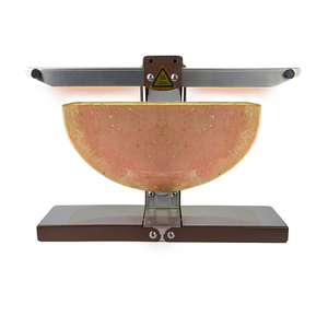 QDMECH Machine à <span class=keywords><strong>Raclette</strong></span> Électrique Commerciale pour Vaisselle Suisse <span class=keywords><strong>Demi</strong></span> Réchauffeur De Fusion <span class=keywords><strong>Demi</strong></span> Nacho <span class=keywords><strong>Fromage</strong></span> <span class=keywords><strong>Raclette</strong></span> <span class=keywords><strong>Fromage</strong></span> Machine - Product Image 6
