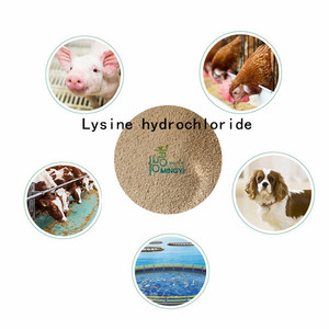 Trung Quốc Nhà cung cấp thức ăn chất phụ gia khác nhau axit amin Threonine Tryptophan thức ăn lớp <span class=keywords><strong>Lysine</strong></span> Methionine 99.9% - Product Image 3