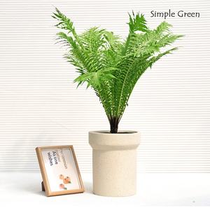 <span class=keywords><strong>Maceta</strong></span> Nórdica Minimalista para Sala de Estar, Balcón, Pasillo, de Gran Calibre, Tipo Pata de Pato, Cilíndrica Recta, para Exteriores YX141 - Product Image 2