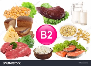 Polvere di Riboflavina Vitamina <span class=keywords><strong>B2</strong></span> Pura di Grado Alimentare a Prezzo di Fabbrica - Product Image 5