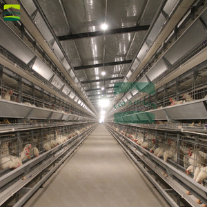 Клетки для кур-несушек GREATFARM H-типа, 4-ярусные, с автоматической системой кормления и поения, устойчивые к коррозии, экономящие труд, для увеличения яйценоскости - Product Image 5