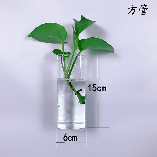 fangguan