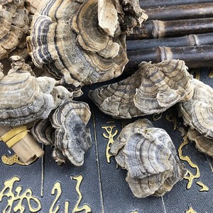 Fungo Selvatico Yunzhi di Grado Alimentare, Fungo Coda di Tacchino a Fette, Fungo Essiccato Sfuso con Fondo Bianco e Fascia Giallo-Verde per Tisane - Product Image 4