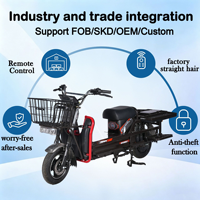 Scooter électrique à 2 roues, moto électrique pour adultes, acheter des vélos électriques en Chine