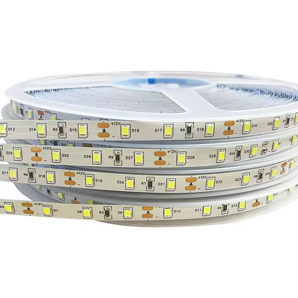 HT 12V 2835 LED Strip Light with IP67 Ra80 Tunable 2700K-6500K Dual Color Stripe 60LED/m SMD3014 Garden Use