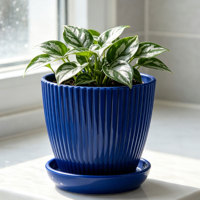 Petit pot de fleurs circulaire moderne en PP avec trous de drainage, durable, capacité de 0,61 L, pour la maison, le bureau, la terrasse et les plantes succulentes