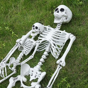 Squelette articulé réaliste grandeur nature de 185 cm (6 pieds) pour Halloween, maison hantée, intérieur et extérieur - Product Image 3