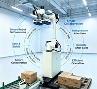 Robot Paletizador Industrial GUOWEIJINGMI, Estable y Seguro, 4kW 220V, Sistema de Manipulación Automática Personalizado para Paletización de Mercancías a Granel