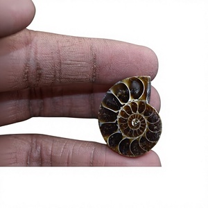Cabujón de Amonita Marrón de Alta Calidad, Piedra Natural Suelta para Joyería, Precio al por Mayor para Fabricación de Joyas, FAIJAN GEMS Rajasthan - Product Image 1