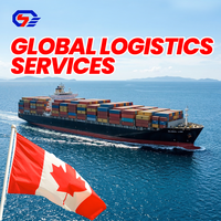 Services logistiques Fret aérien Chine vers États-Unis Canada Allemagne Royaume-Uni France Italie Pays-Bas DDP Dédouanement 5-10 jours