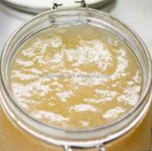 Ausreson <b>Sea</b> <b>Moss</b> <b>Gels</b> Private Label Supplement <b>Irish</b> <b>Sea</b> <b>Moss</b> Vitamins Pineapple Organic Bulk <b>Sea</b> <b>Moss</b> <b>Gel</b> - Product Image 2