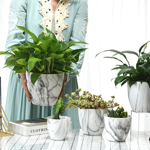 Free samples Eco-friendly pots for plants large plant pots cactus kitchen garden pot