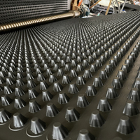 Planche de drainage en relief pour toit de jardin imperméable en HDPE Shengfeng / Feuille de géotextile pour chantiers de construction, sous-sols