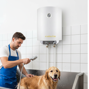 <span class=keywords><strong>Calentador</strong></span> de Agua <span class=keywords><strong>Eléctrico</strong></span> Vertical de 50L y 2000W para Peluquería y Belleza, con Almacenamiento, para Uso Transfronterizo - Product Image 2