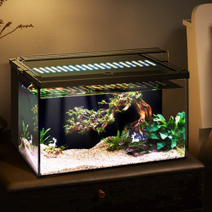 Yee Fabriek Groothandel 20 Gallon Aquarium Ultra Helder Glas Desktop Aquarium Met Aquarium Pomp En Licht - Product Image 6