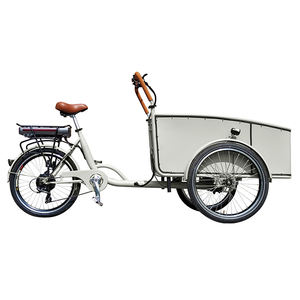 Tricycle pour bébé à chargement frontal, moteur 250w, vélo <span class=keywords><strong>cargo</strong></span> électrique avec housse de pluie <span class=keywords><strong>en</strong></span> vente flash - Product Image 3