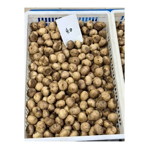 <span class=keywords><strong>Ail</strong></span> <span class=keywords><strong>noir</strong></span> fermenté séché à <span class=keywords><strong>bulbe</strong></span> unique 3.0-3.5cm Qualité supérieure <span class=keywords><strong>Ail</strong></span> <span class=keywords><strong>noir</strong></span> Bawang Putih Hitam Prix - Product Image 4